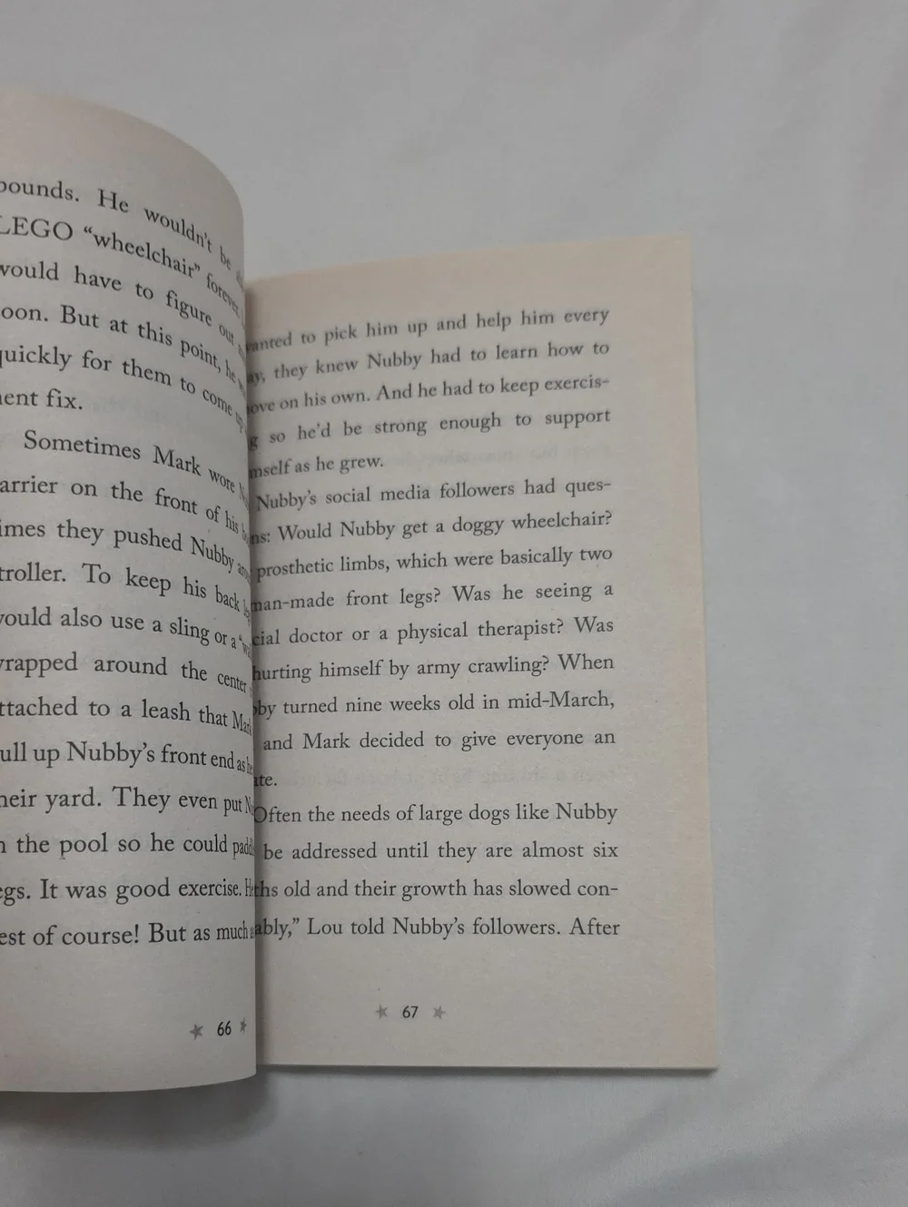 Scholastic Nubby's Story